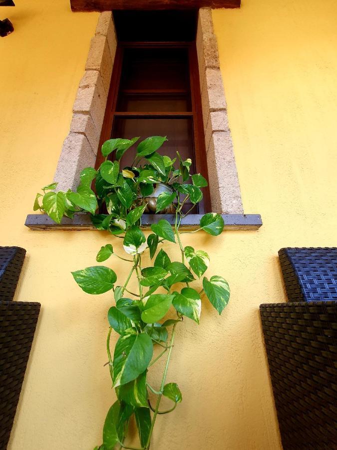Palmas Anna'S Rooms Is Procilis Palmas Arborea Ngoại thất bức ảnh